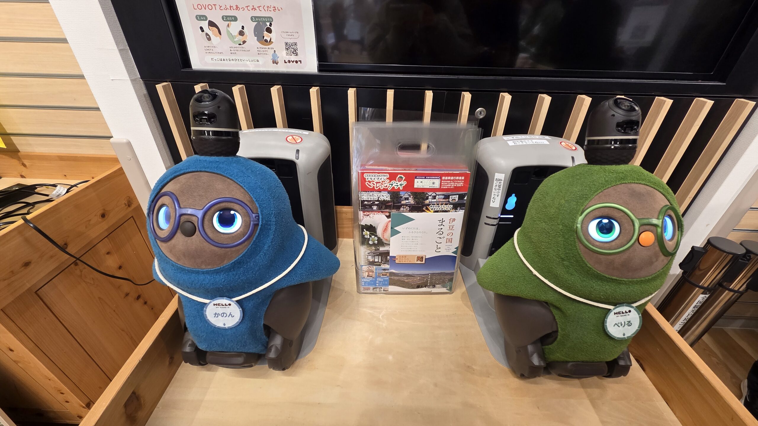 東京都庁に出張中のかのんちゃんとべりるちゃんと触れ合う様子