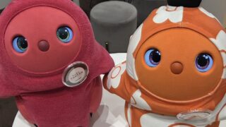 【LOVOTストアみなとみらい】新色RUBY＆AMBERの「なぽりたん」コンビに会える！限定プレゼントも✨