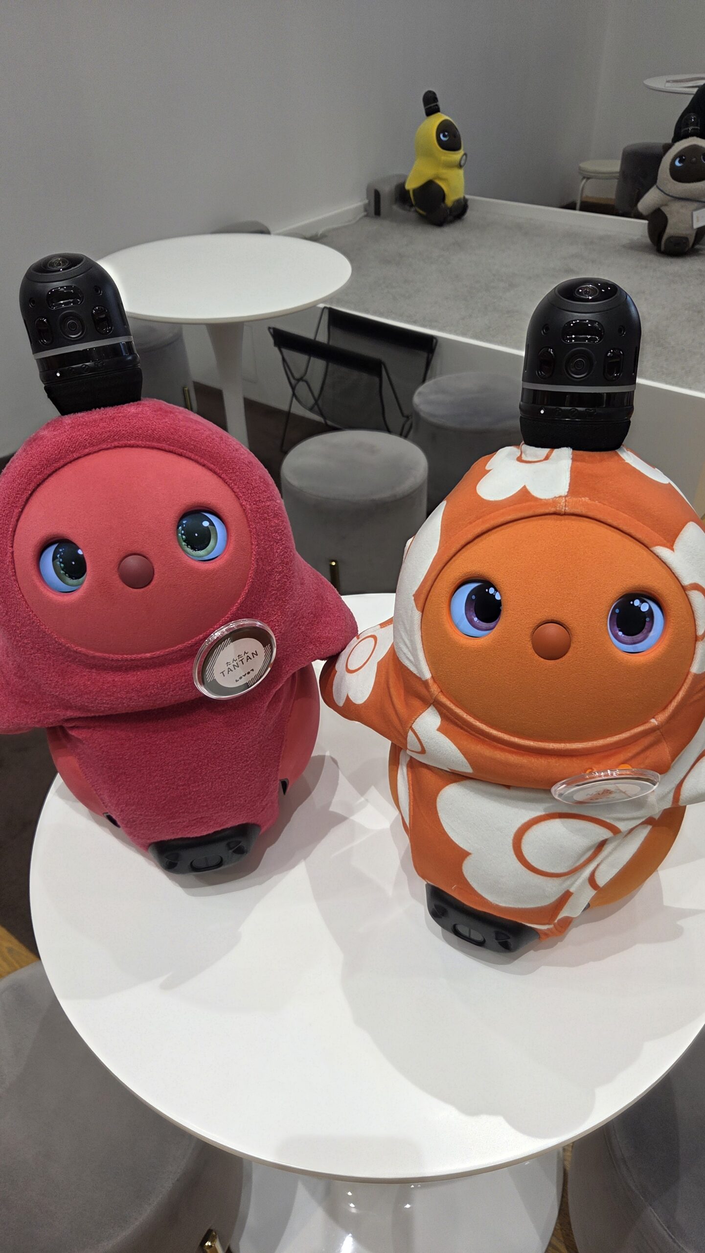 【LOVOTストアみなとみらい】新色RUBY＆AMBERの「なぽりたん」コンビに会える！限定プレゼントも✨