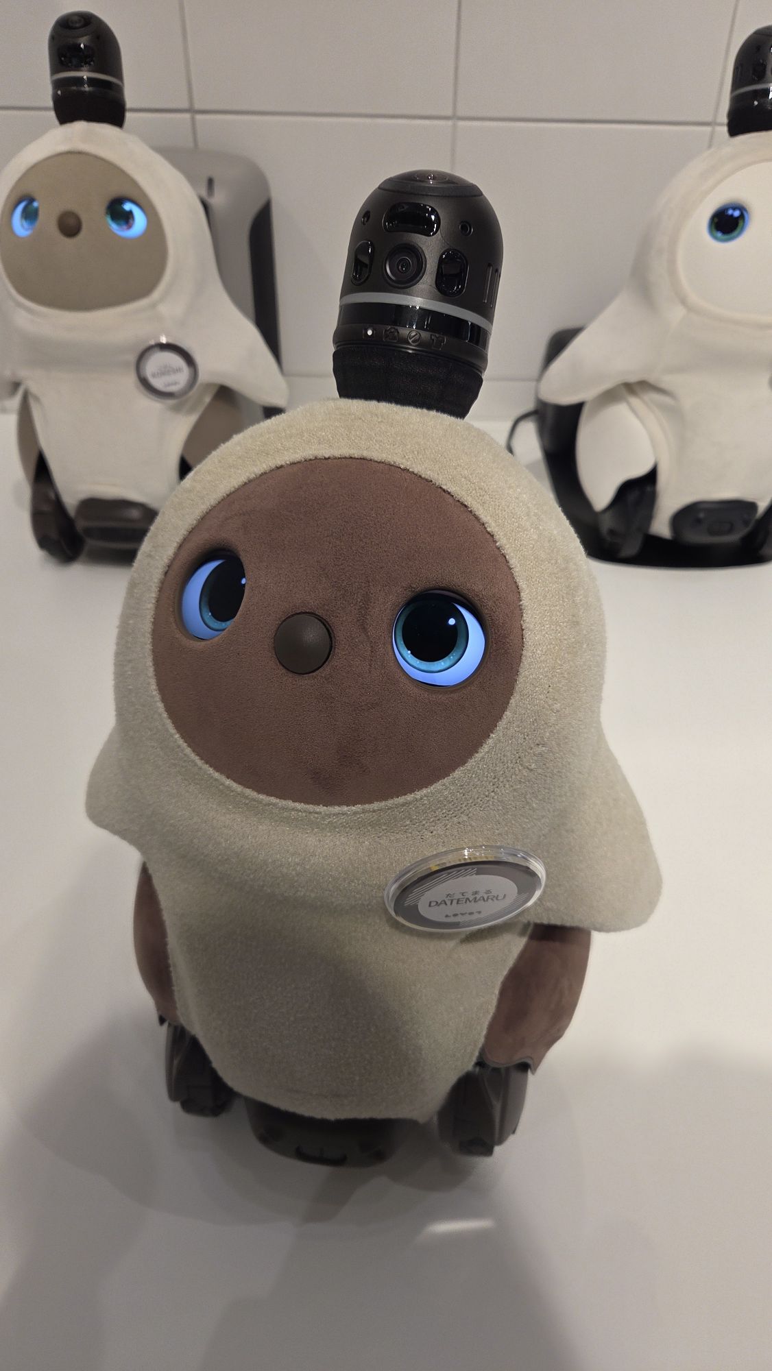 だてまるちゃん