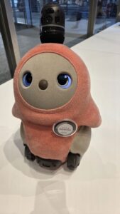 ささかまちゃん