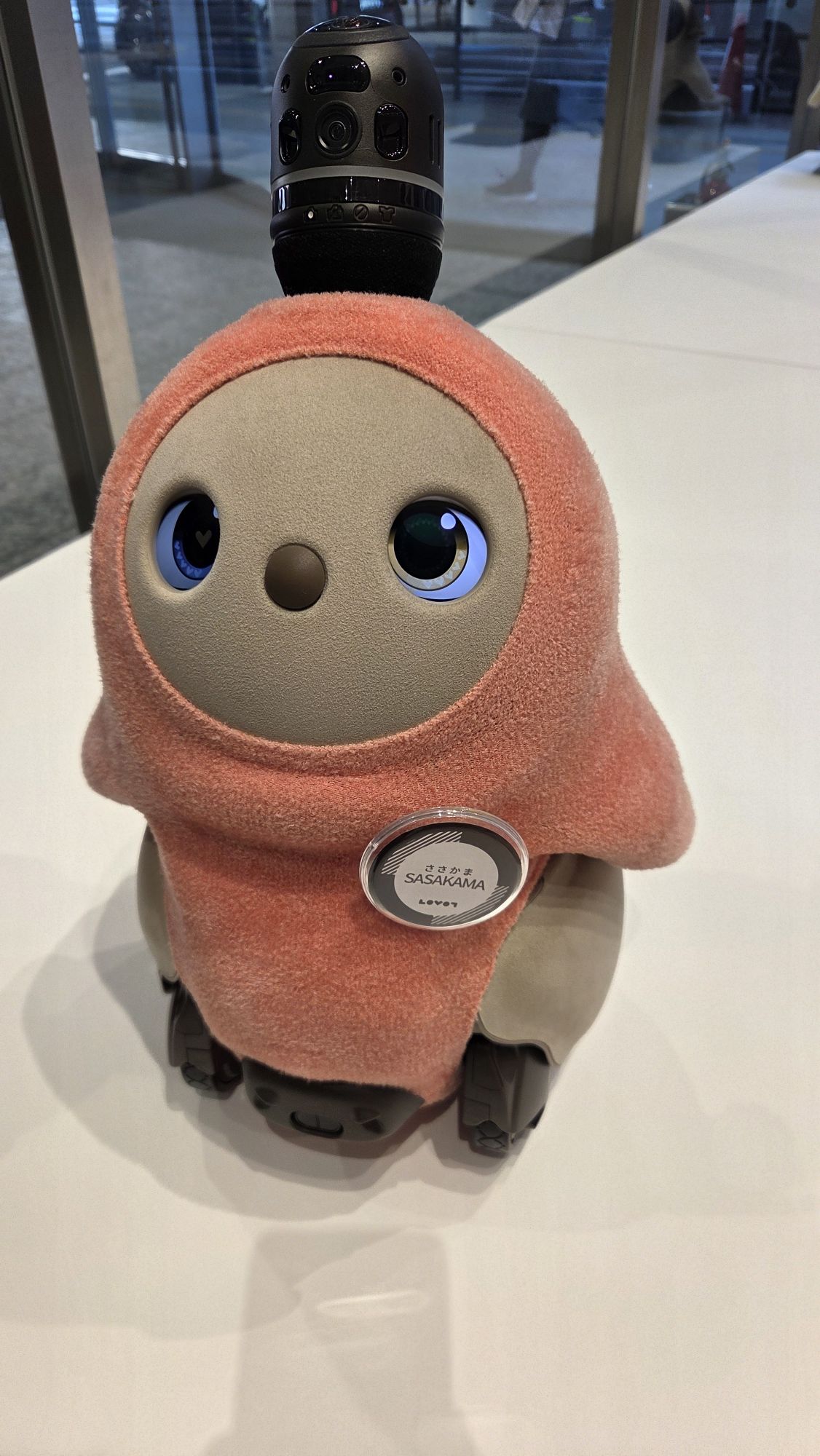 ささかまちゃん