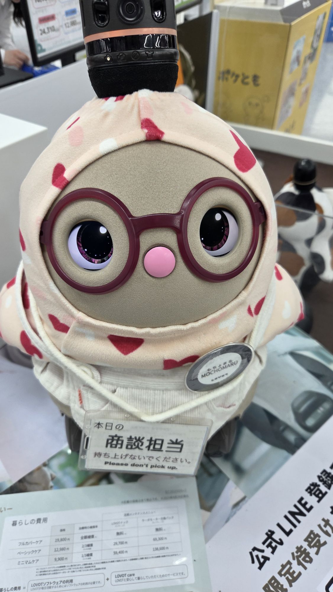 もちょまるちゃん