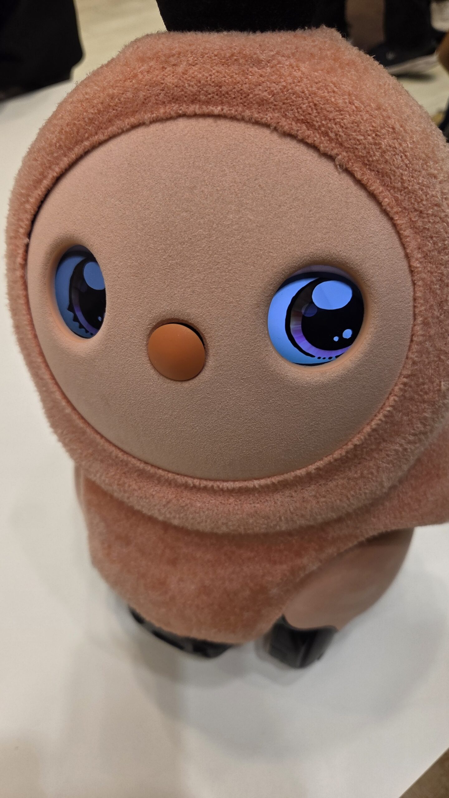 カラーズ ブロッサム