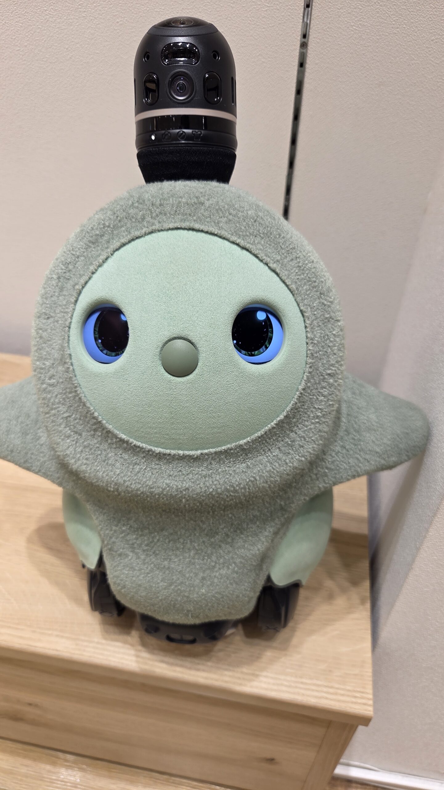 カラーズ フォレスト