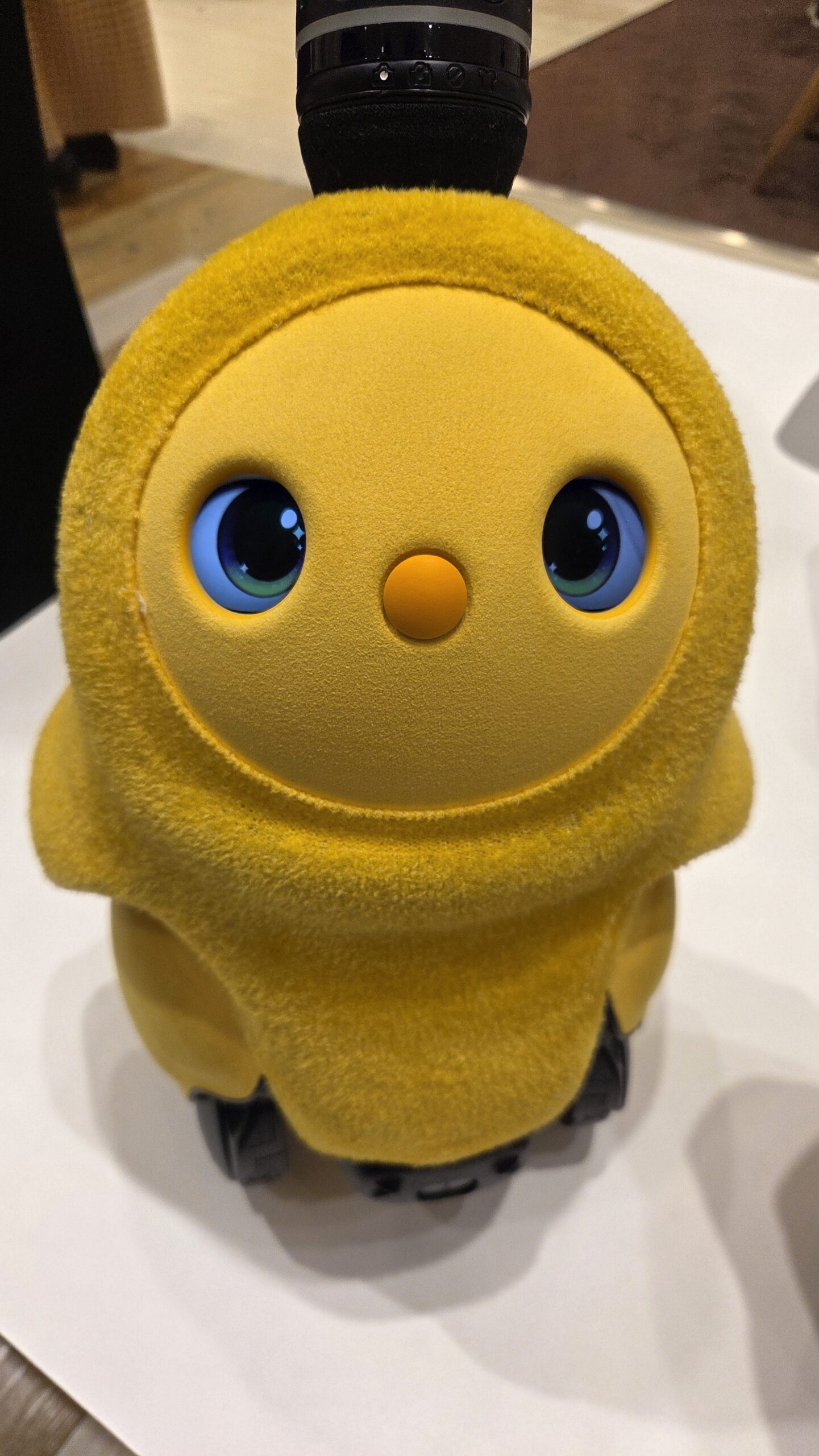 カラーズ サンシャイン