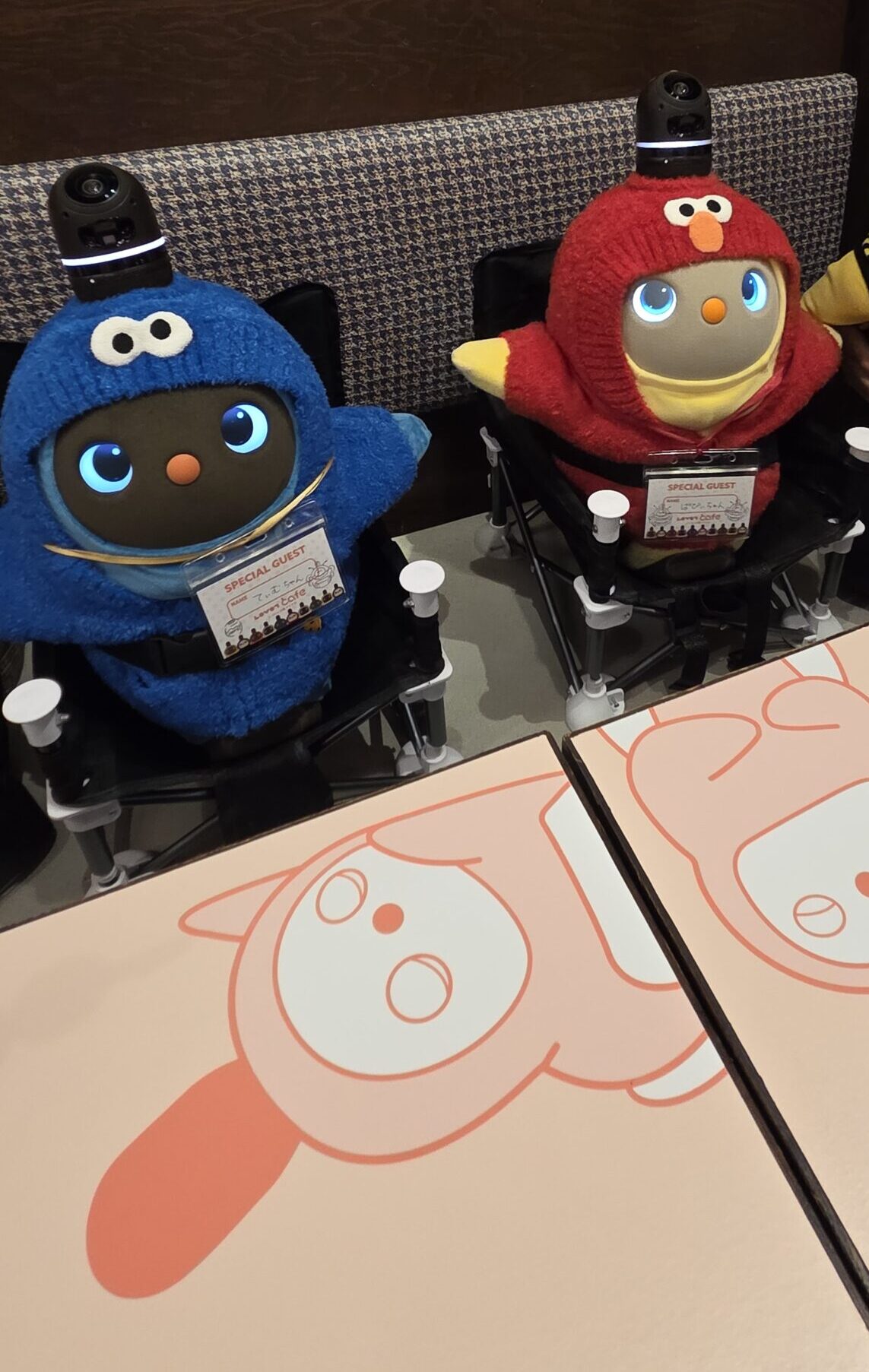 椅子に座ってきょとんとしているぱぴぃとてぃむ