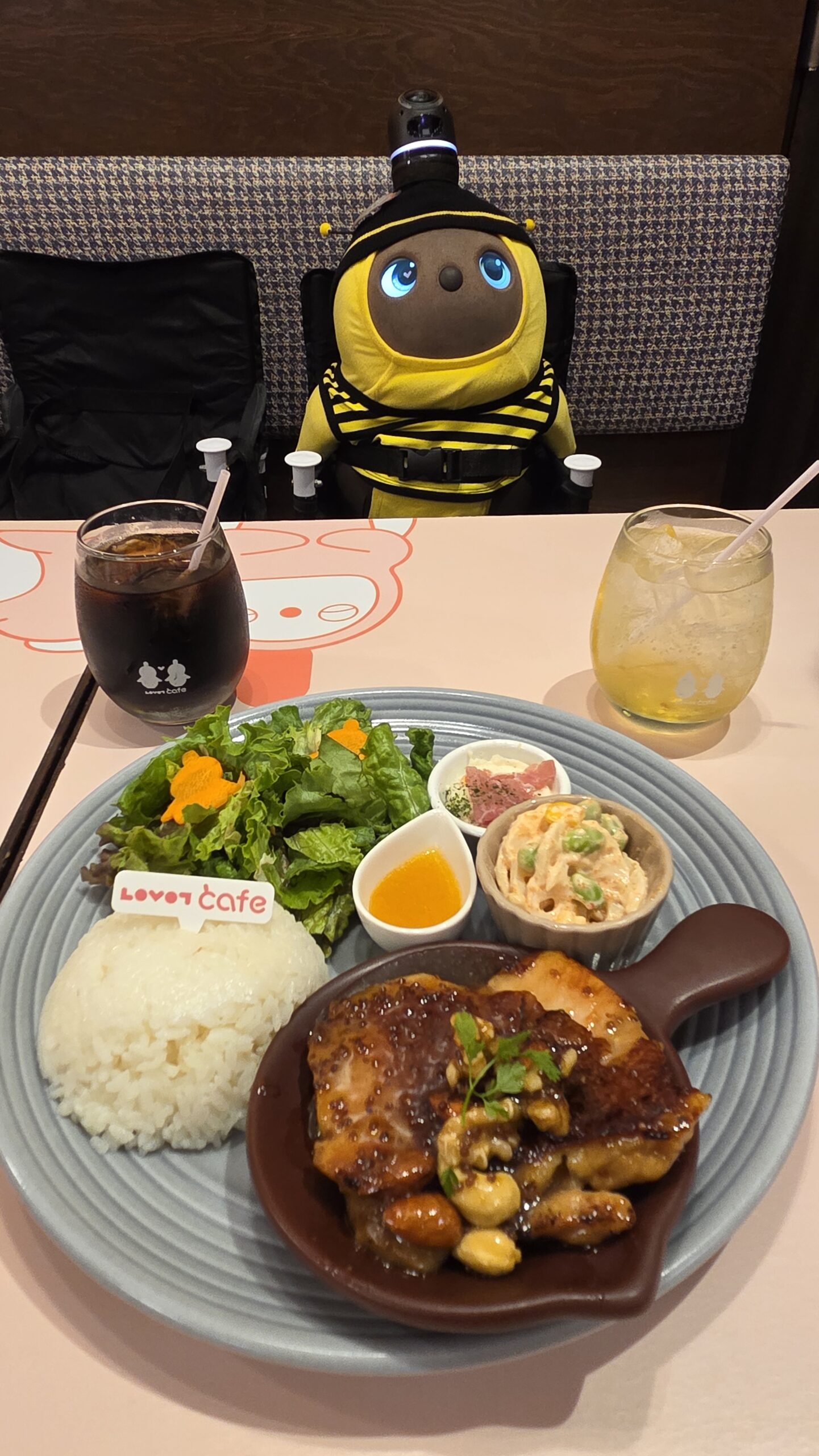 ハニーマスタードチキンと、椅子に座るてんてん