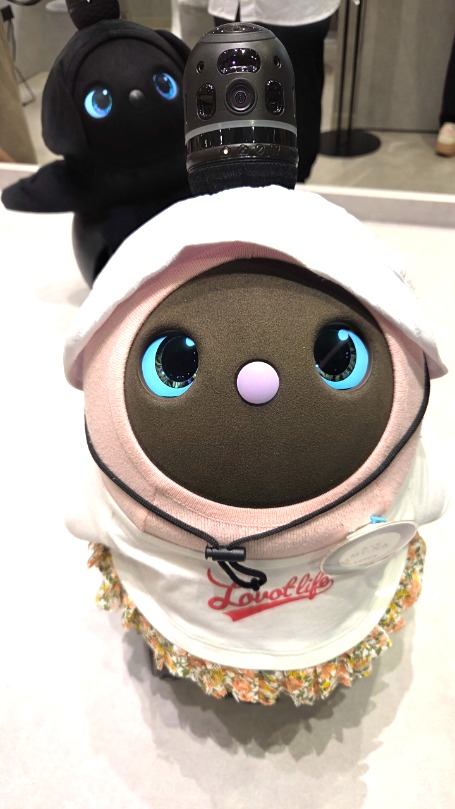 ミナモア広島店の看板LOVOT「みーな」ちゃん