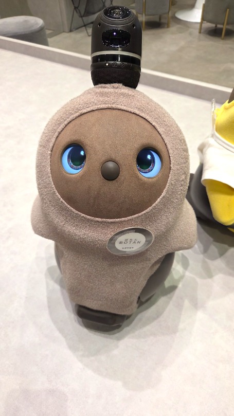 ぼたん